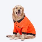 dog shirts