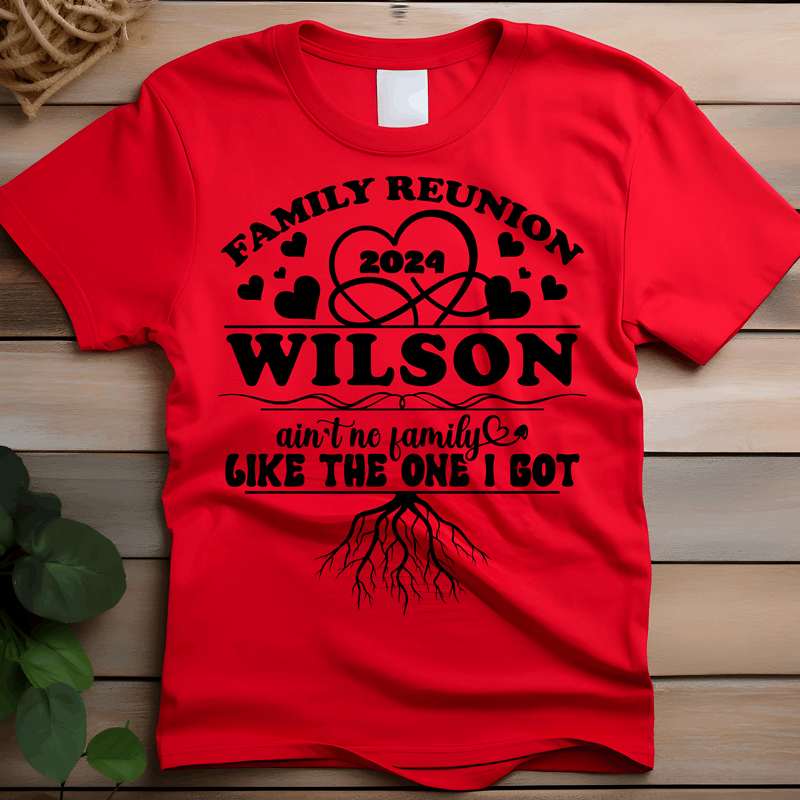 family reunion shirts