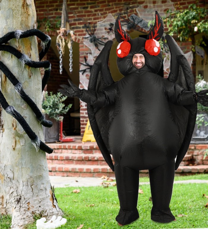 diy mothman costume